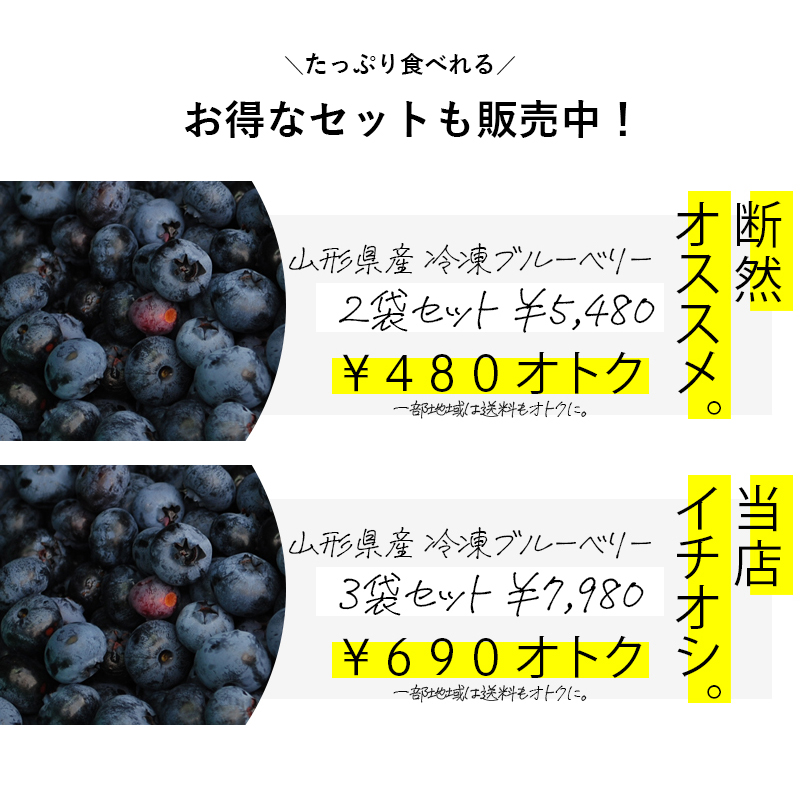 送料無料　国産冷凍ブルーベリー 1kg 　山形県産　ブルーベリー　フルーツ　果物　冷凍　食品