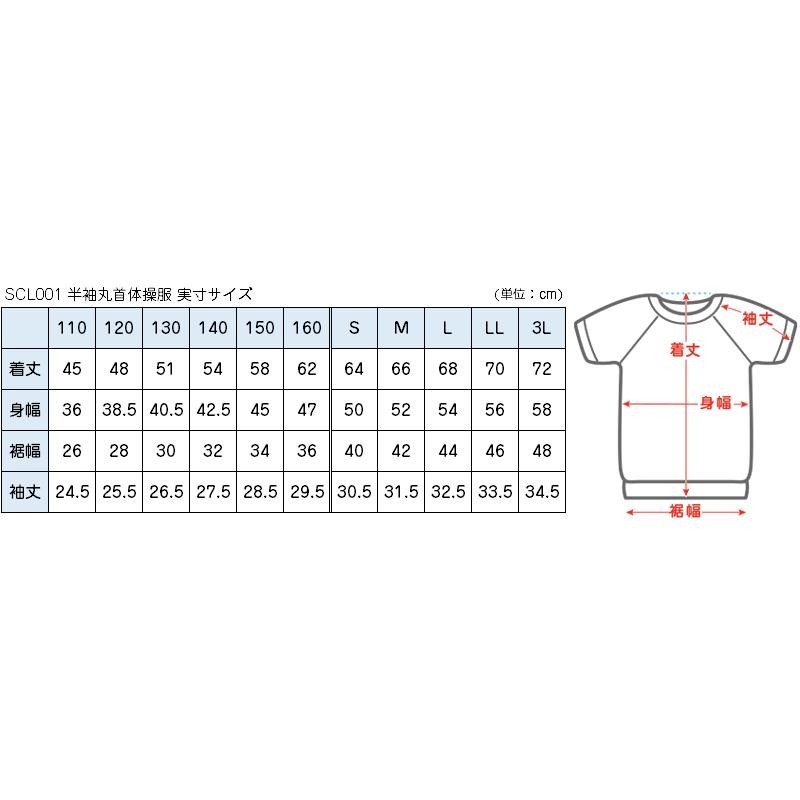 体操服 半袖 体操着 大きいサイズ S〜3L (半そで 白 綿混 160 170 180 小学校 小学生 中学生 男子 女子 ゆったり) |  LINEショッピング