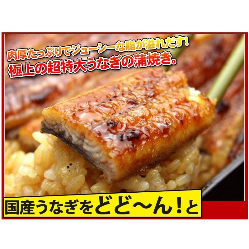 うなぎ 蒲焼き 国産 至福の福袋 送料無料 鰻 ウナギ