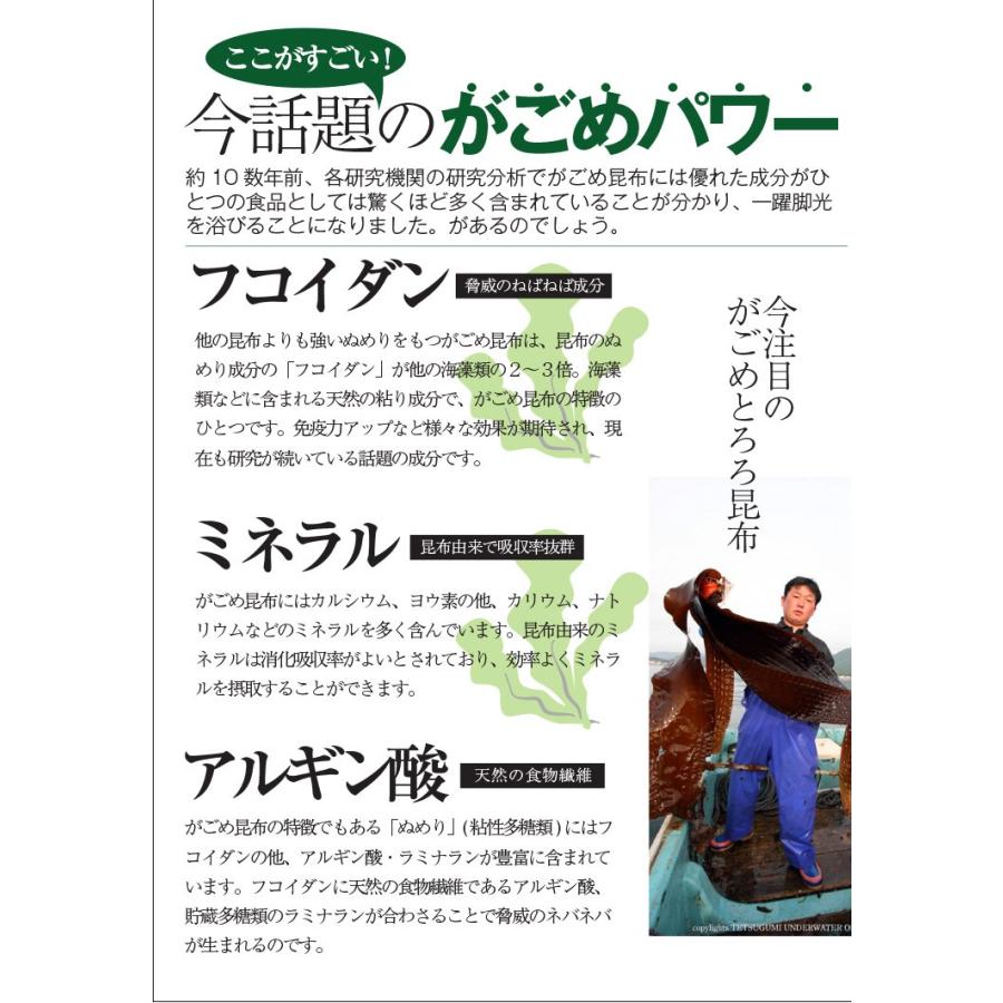 がごめとろろ昆布 (根昆布入り) 100g×2個セット (メール便) 送料無料 がごめ昆布 とろろ昆布 北海道産 函館 無添加 お試し お土産