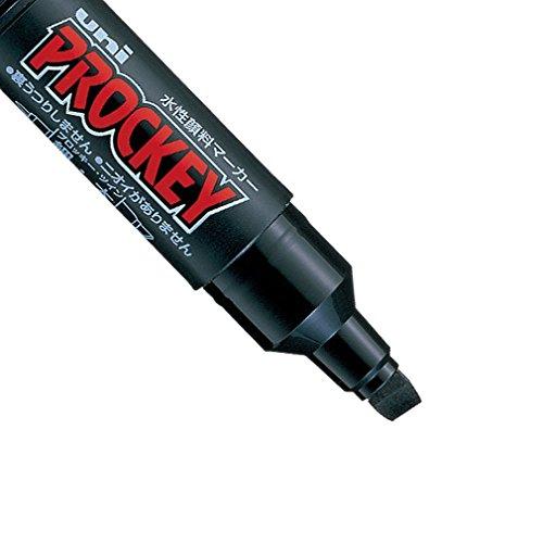 三菱鉛筆 水性ペン プロッキーツイン 12色 PM150TR12CN