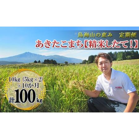 ふるさと納税 10kg（5kg×2袋）×10ヶ月 鳥海山の恵み 農家直送！ あきたこまち［精米 したて！］ 秋田県にかほ市