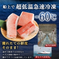 厳選 天然 本マグロ セット６００ｇ以上 本まぐろ 100% 冷凍 刺身 海鮮 丼 さく 柵 ブロック