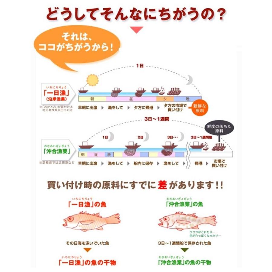 一夜干し「恵比寿」エテかれい、甘鯛、のどぐろ、れんこ鯛の詰合せ ギフト 島根県