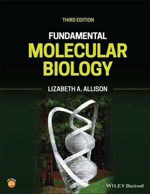Fundamental Molecular Biology (3版) Allison 2021 John Wiley