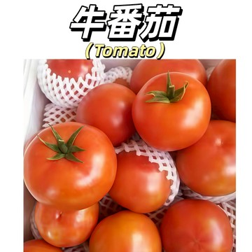 嘉儀現貨（牛番茄種子）生吃水果番茄 一口爆汁 日本進口.果肉肥厚.果色鮮紅美麗.風味佳#果菜類種子