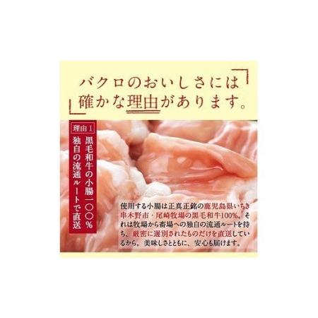 ふるさと納税 黒毛和牛もつ鍋セット！ 鹿児島県産黒毛和牛を使用したもつ鍋＜味噌＞セット(2〜3人前)「贅の味噌」スープと黒毛和牛小.. 鹿児島県いちき串木野市