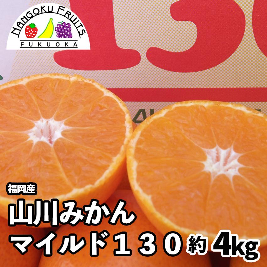 福岡産みかん 山川マイルド130 　約4kg（ギフト 御歳暮 御祝 みかん ミカン）