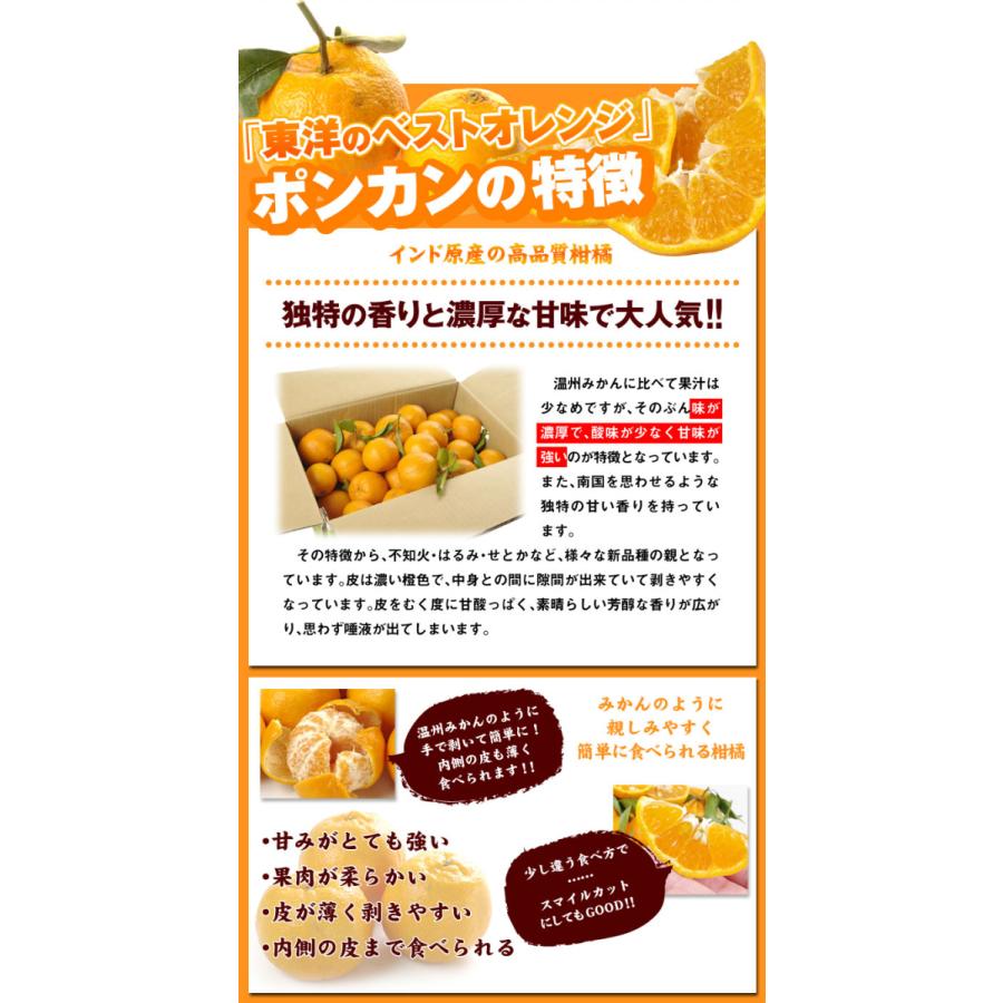 みかん 10kg 紀南のポンカン 和歌山産 ご家庭用 送料無料 食品