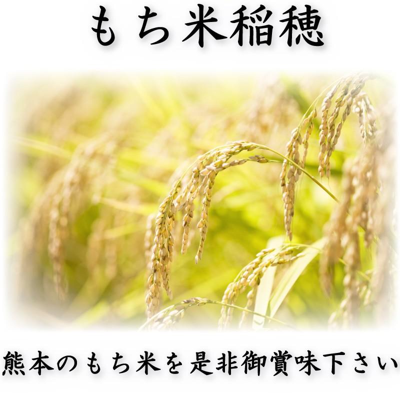 お米 米 10kg もち白米 送料無料 熊本県産 ヒヨクモチ あすつく 新米 令和5年産 5kg2個 くまもとのお米 富田商店 とみた商店