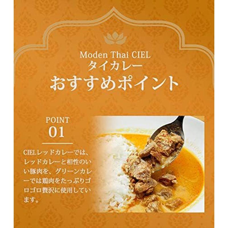 CIEL グリーンカレー＆レッドカレー 10食セットグリーンカレー×5食・レッドカレー×5食 1食170g