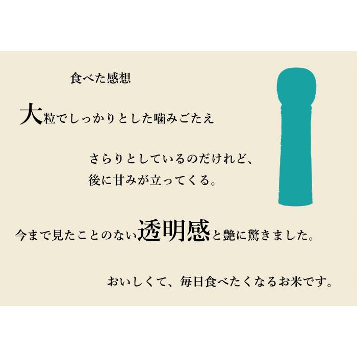 新米＜青森から直送＞ 米 20kg 5年産 青天の霹靂 青森県産 白米20kg （5kg×4）お米 