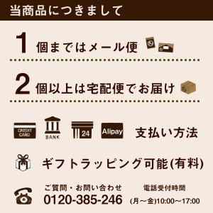 煎り大豆 1kg 無添加 焙煎 大豆 炒り大豆 煎り豆 丸ごと 豆 国産 サポニン レシチン タンパク プロテイン イソフラボン 送料無料