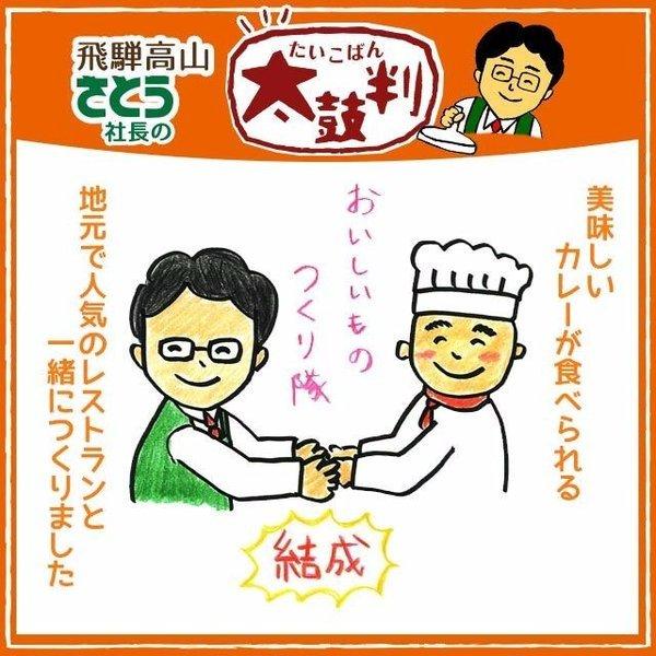 飛騨なっとく豚カレー 5袋セット 中辛 地元のおいしいお店と一緒につくった ご当地カレー 飛騨 高山 特産品 グルメ 岐阜