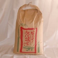 獅子米ゆうだい21　玄米30kg