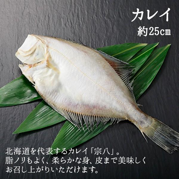 北海道 干物 セット 詰め合わせ 9点 内祝い お返し 魚 海鮮 ギフト ひもの ホッケ 秋鮭 コマイ 鰯 魚の干物