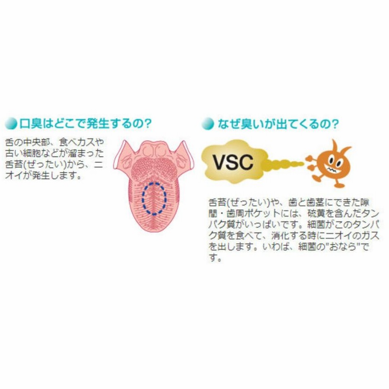 ハイザックRスプレー 20g 1本 スメハラ対策 ビーブランド 口腔ケア マウススプレー マウスケア 急な口臭対策にコレ！口臭防止 通販  LINEポイント最大0.5%GET LINEショッピング