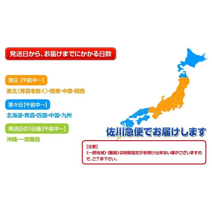 『いちごさん』 佐賀県産 いちご 2L〜4L （8〜12粒）約240g×2パック ※冷蔵 送料無料