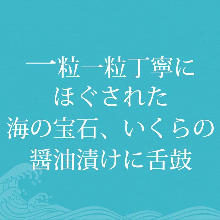 いくら 北海道網走産 厳選醤油漬けいくら 約500g 1パック