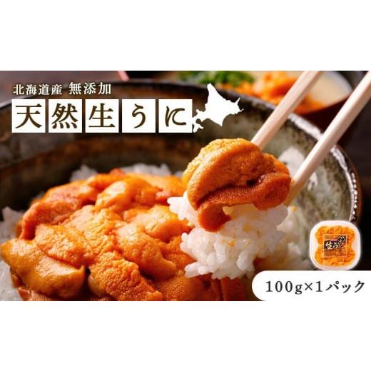 ふるさと納税 北海道 札幌市 《北海道産》無添加 天然生うに 100g＜札幌カネシン水産＞