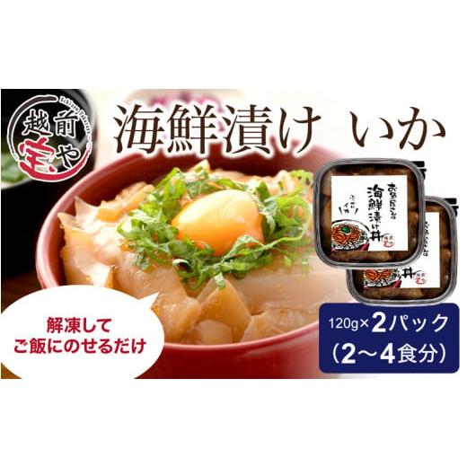 ふるさと納税 福井県 福井市 海鮮漬け イカ 120g×2パック（2〜4食分）[A-088011]