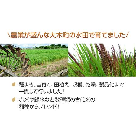 ふるさと納税 古代米 玄米ブレンド 2パック　CD09 福岡県大木町