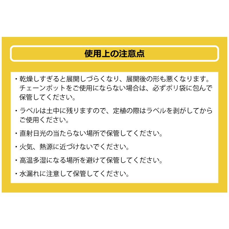 チェーンポット CP303 150冊（個）株間5cm 264鉢 播種 種まき 育苗 ネギ 三つ葉 花き類 野菜 農業 cp303 紙筒 ひっぱりくん ニッテン 日本甜菜製糖 タSZ