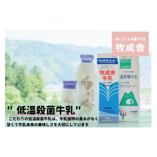 ふるさと納税 岐阜県 高山市 ＜牧成舎＞ カップ ヨーグルト (30個セット) 飛騨の牛乳屋、こだわりのヨーグルト 飛騨高山  a569