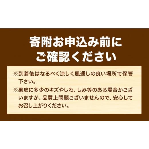 ふるさと納税 和歌山県 日高町 果肉プリプリ 完熟 紀州 デコ 不知火 約 5kg 果肉 デコ 魚鶴商店《2月下旬-3月末頃よりに発送予定(土日祝除く)》紀州デコ …