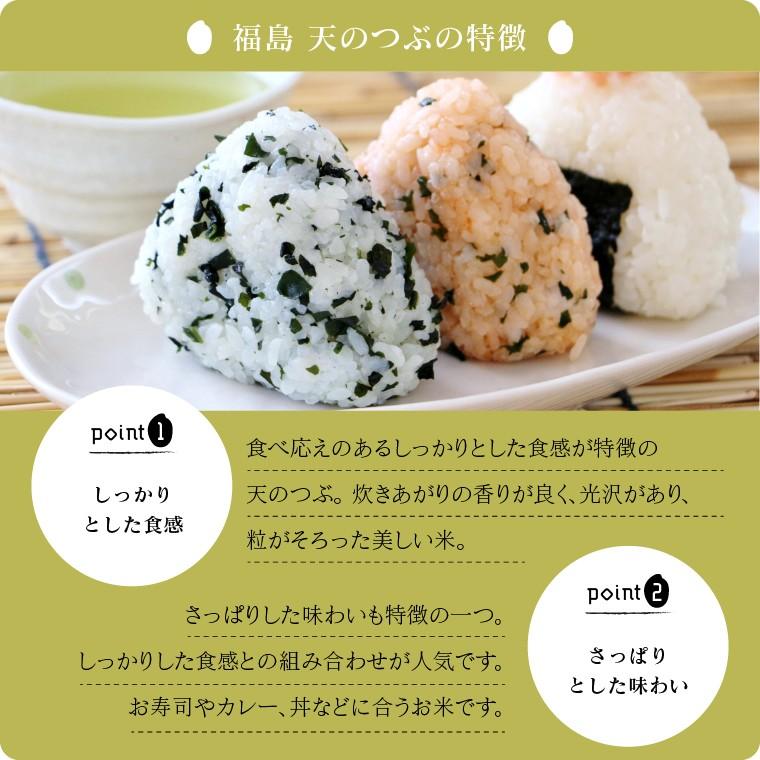 新米 令和５年 お米 10kg 福島県産 天のつぶ 無洗米 送料無料 精米  米