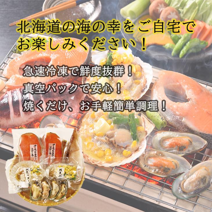 北海道産 海鮮焼き ご当地 サーモンステーキ 帆立 いか 海の幸 海鮮焼き詰合せ 産地直送 送料無料 ギフト お祝い FUJI 父の日 2023