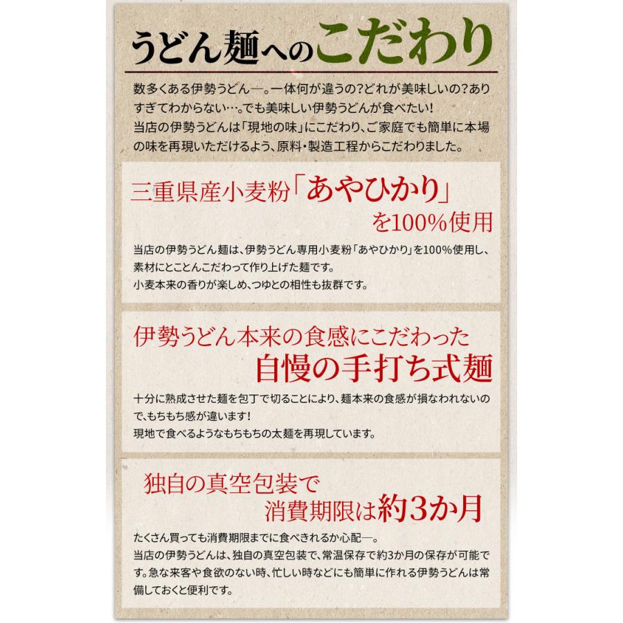 手打ち式伊勢うどん麺だけタイプ１０食入 つゆ無(簡易パッケージうどん） 送料無料 本場伊勢よりお届け 通販 伊勢うどん