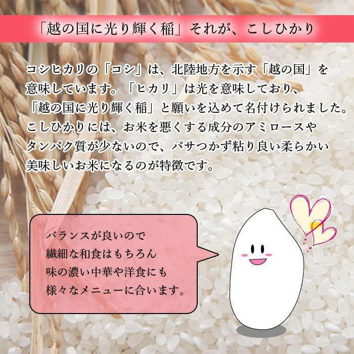  長野県産 コシヒカリ 5kg 米 お米 白米 おこめ 単一原料米 ブランド米 5キロ 国内産 国産 令和4年産 (5kg)