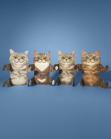 Meowmentos PawMark 心意咭 - 混款 (4 packs)