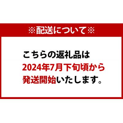 ふるさと納税 天城町 徳之島 天城町産 完全無加温 完熟 マンゴー 家庭用 1kg