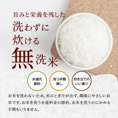 ふるさと納税 大館市 令和5年産秋田県大館産あきたこまち無洗米　10kg(4月〜6月配送)