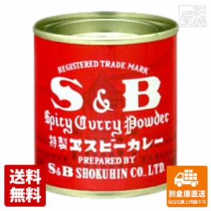 SB エスビー カレー 37g x10 セット 