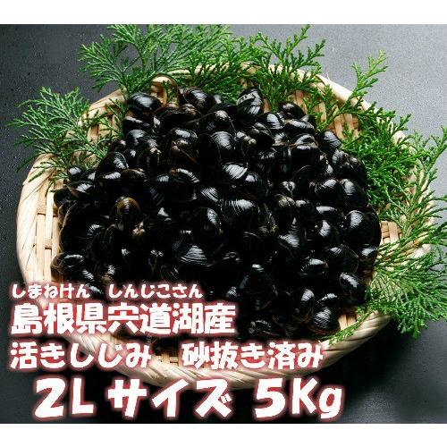 お歳暮 贈物 宍道湖産 大和しじみ （ 活きしじみ 砂抜き済み ２Ｌ(12mm〜14mm)サイズ 5kg