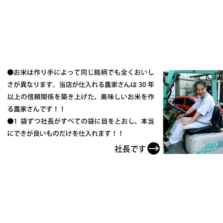 米 お米 10kg こしひかり 新米 令和5年 まとめ買い 業務用米 埼玉県産 送料別