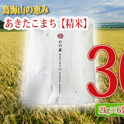 《定期便》12kg×3ヶ月 秋田県産 あきたこまち 精米 2kg×6袋 神宿る里の米「ひの米」（お米 小分け）