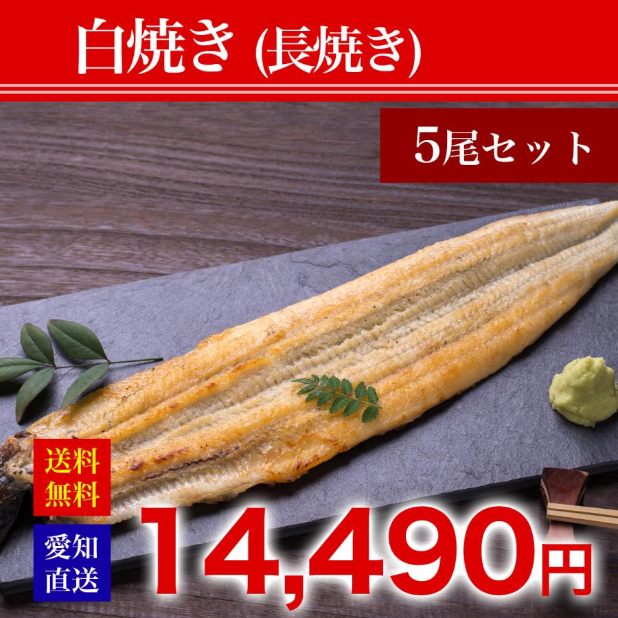 愛知県産特選うなぎ白焼き（長焼）5尾セット　土用の丑の日　2023　ギフト　国産　 ウナギ 鰻 お取り寄せ 人気　お祝　お歳暮　お中元