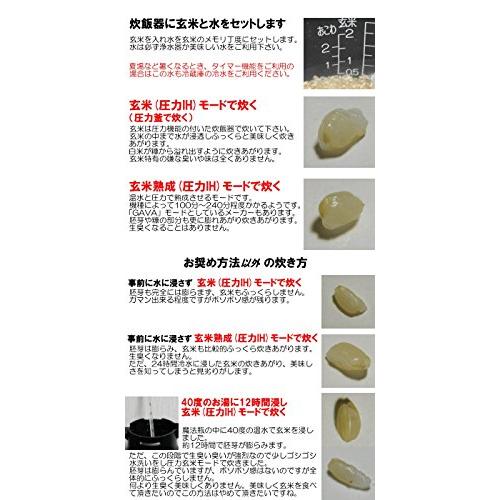 福岡県産 夢つくし 2Kg    玄米 令和5年度産 無肥料栽培米 自然栽培米