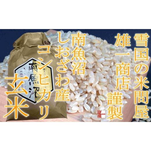 ふるさと納税 新潟県 南魚沼市 ●玄米● 生産者限定 南魚沼しおざわ産コシヒカリ