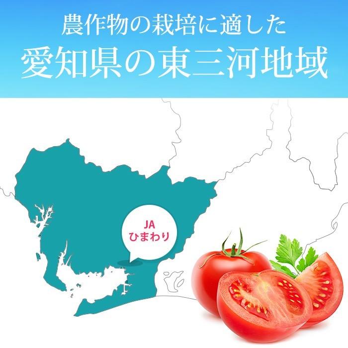 フルーツトマト 愛知県産 ロッソトマト 約1kg Lサイズ 7〜13個 高糖度