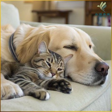 【永諾承信】尊榮關懷計畫(MO25)