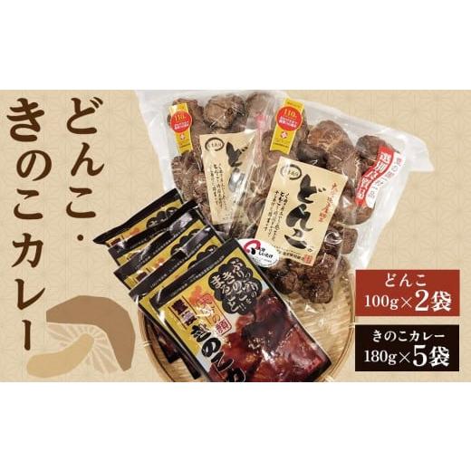 ふるさと納税 大分県 由布市 大分県産乾しいたけ(どんこ100g×2)と豊後きのこカレー(5パック)セット