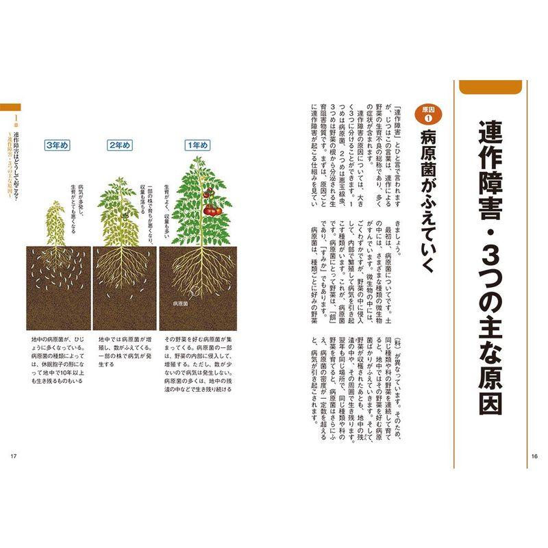 連作でよく育つ野菜づくり 狭い畑で病害虫を防ぎ品質・収量アップ