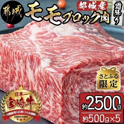 ふるさと納税 都城市 都城産宮崎牛モモブロック肉(霜降り)約2,500g