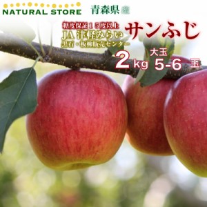 [予約 2023年11月20日-12月31日の納品]  サンふじ 5玉-6玉 大玉 約2kg 青森県産 JA津軽みらい 板柳 黒石販売センター