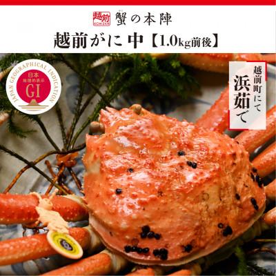 ふるさと納税 越前町 冬の日本海の味　浜茹で11月〜翌3月順次発送